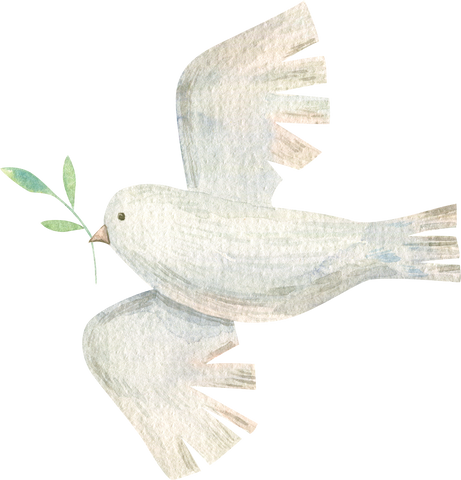 dove  watercolor clipart. Freedom and peace